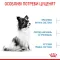 Royal Canin X Small PUPPY для цуценят дуже дрібних порід до 10 місяців Акція 1,2 кг + 300 г