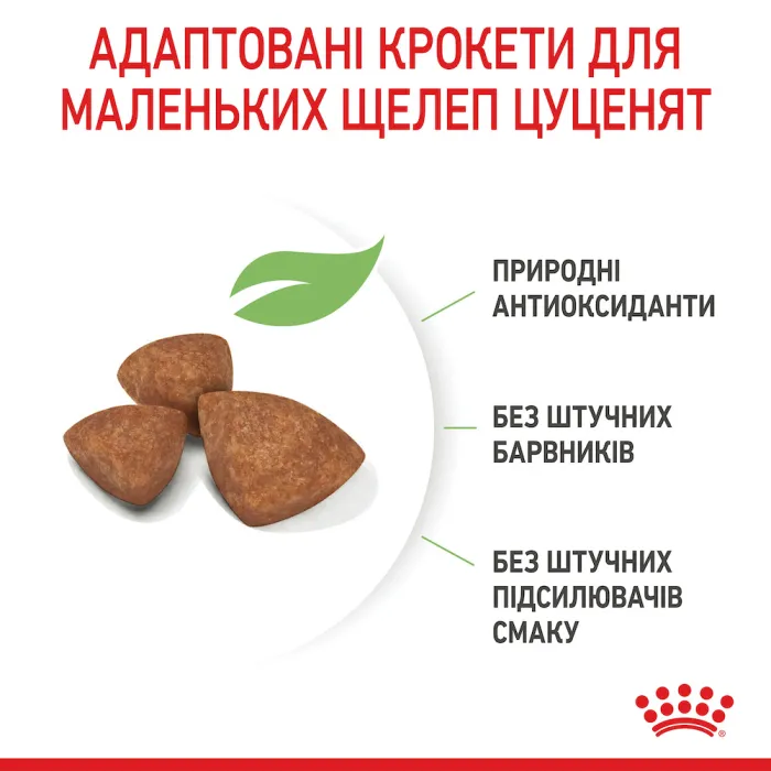 Royal Canin X Small PUPPY для цуценят дуже дрібних порід до 10 місяців 3кг 