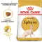 Royal Canin Sphynx adult 33 (Роял Канін) сухий корм для сфінксів з 1 року 2 кг